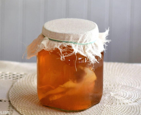Kombucha & Lacto-Fermentation